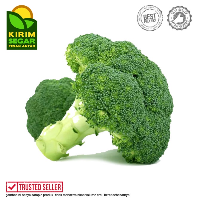 

Brokoli / Brokoli Utuh Segar / Sayur Brokoli / Green Broccoli / Fresh