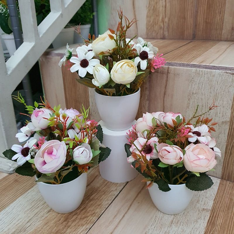 Bunga Camelia Set + Pot