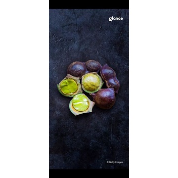 

jengkol lalap