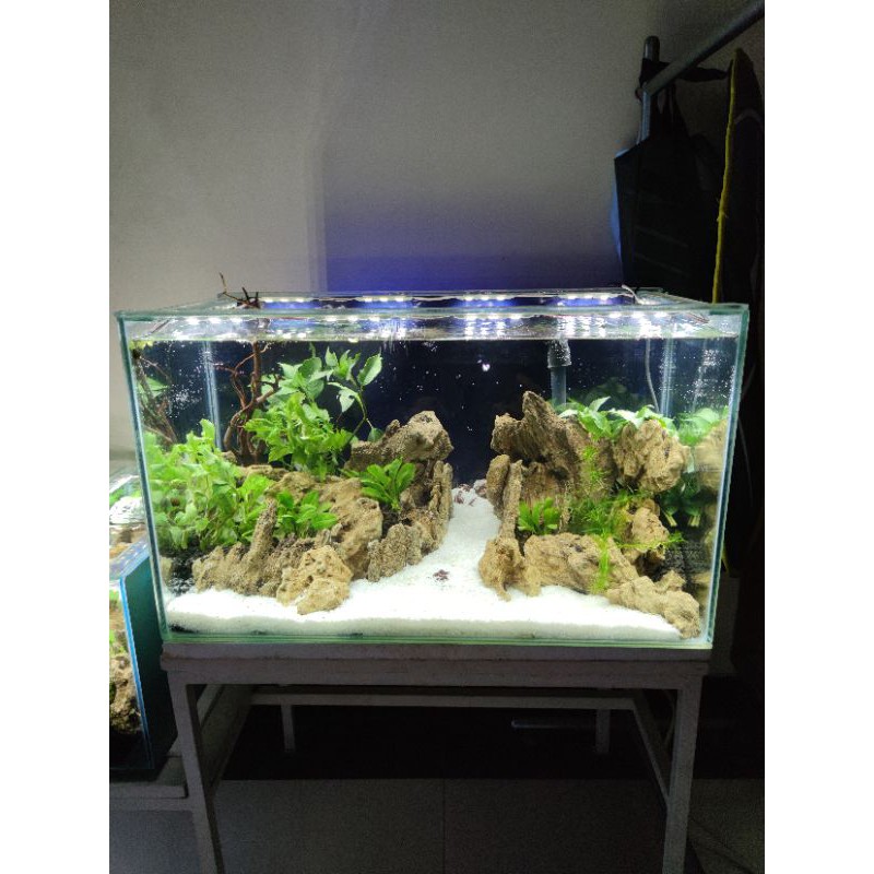 SOLD  Aquarium Full Set Aquascape 60 P