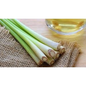 

Daun Sereh Super Fresh ( 1 IKAT )