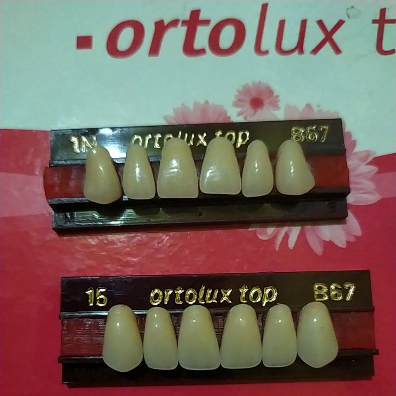 ortolux depan atas gigi palsu akrilik warna 67