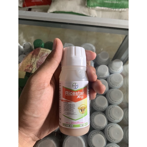 ricestar 100ml