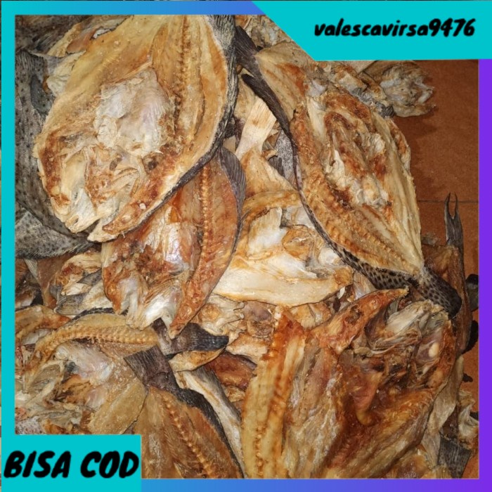 

⭐BISA COD⭐ ikan kering kerapu/sunu khas makassar