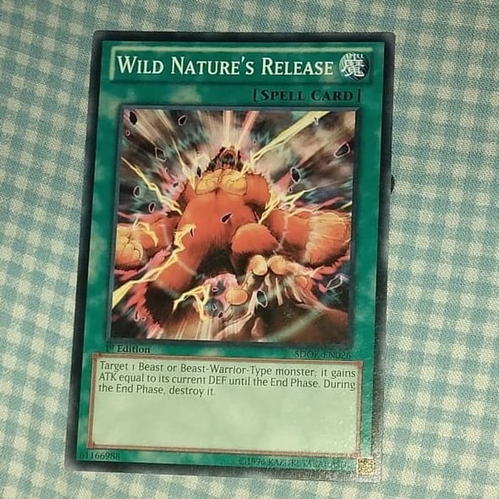 

Wild Nature's Release