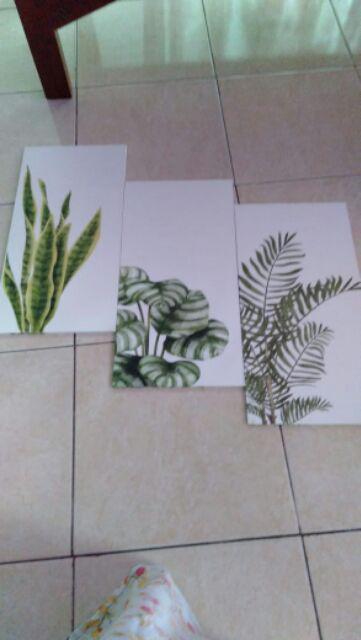 Craftpedia 1 Set Hiasan Dinding Tanaman 60x40 Cm
