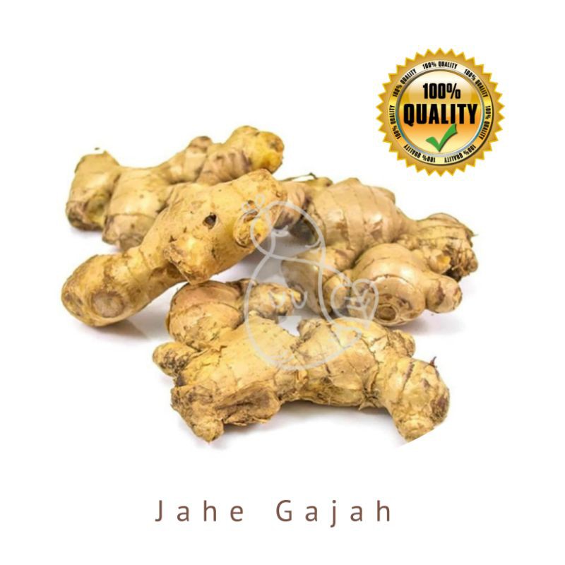 

Jahe Gajah 1000g / Ubimart Official