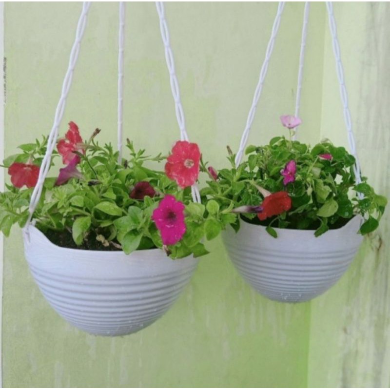 Pot bunga gantung gentong size S lovenia