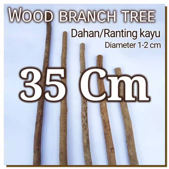 Wood Branch Tree 1-2x35 Cm Dahan kayu potongan kayu bahan craft dekor