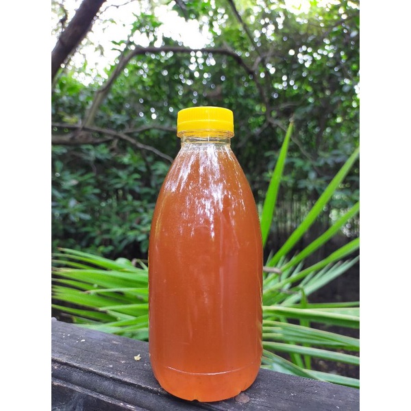 

MADU HUTAN MURNI SUMATRA