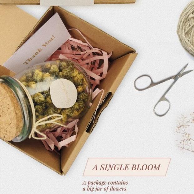 

[ COD ] Hampers Flower Tea (A Single Bloom: One Big Jar) STOK TERBATAS Kode 12