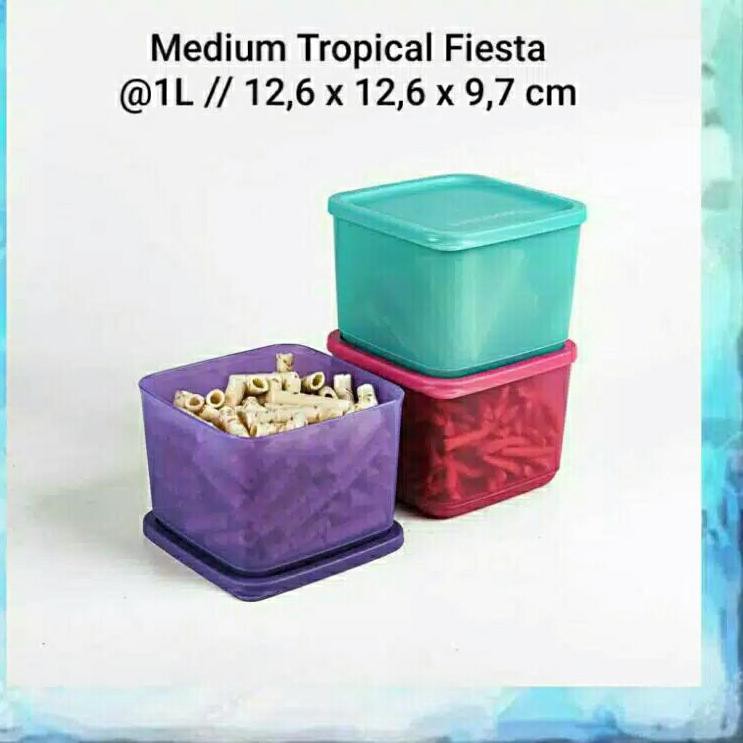 

medium summer fresh ecer 1pcs medium tropical fiesta ecer (1) O68Z