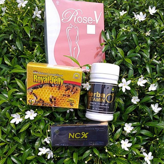 Paket Program Hamil Herbal NASA