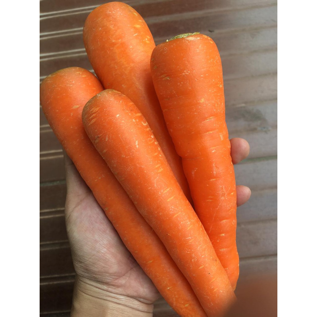 

Wortel Import 500 gram