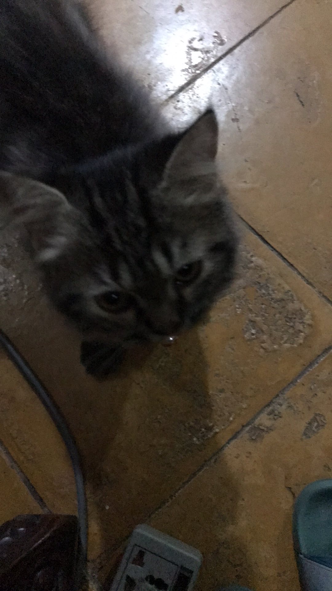 Kain Pel Kain Mop Alat Pel Lantai Refill Mop Biru