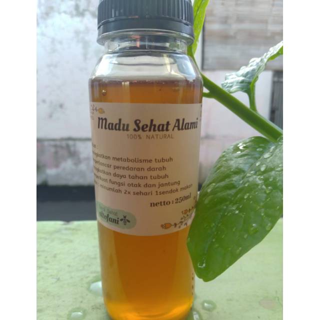 

Madu Sehat Alami