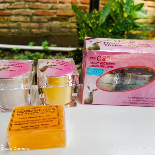 

CSD cream susu domba