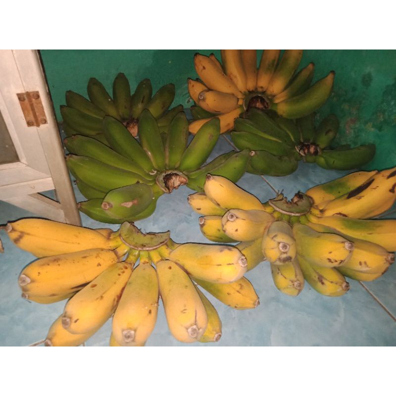 

pisang raja