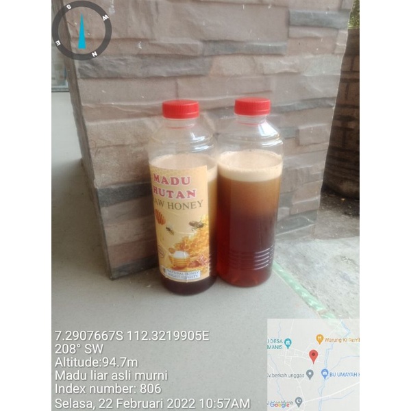 

Madu liar asli murni