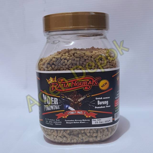 VOER PUR MABUNG DAN MENTAL RAJA NGURAK