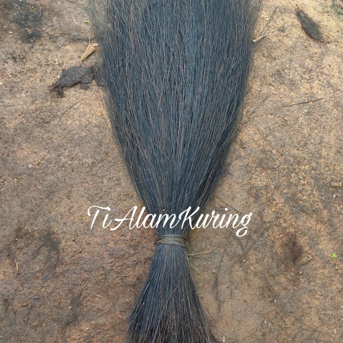 Ijuk Aren Super Kualitas Tebu Ekspor panjang 1kg