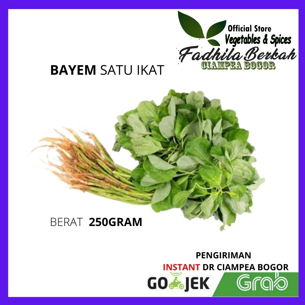 

sayur sayuran segar bogor Bayam bayem Hijau Per Ikat Sayuran sayur segar makanan beku freshmart Bogor sayur box sayurbox