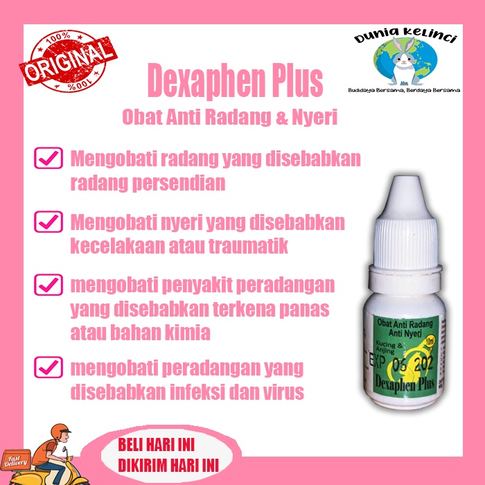 obat radang nyeri kucing anjing Dexaphen luka dalam penurun panas