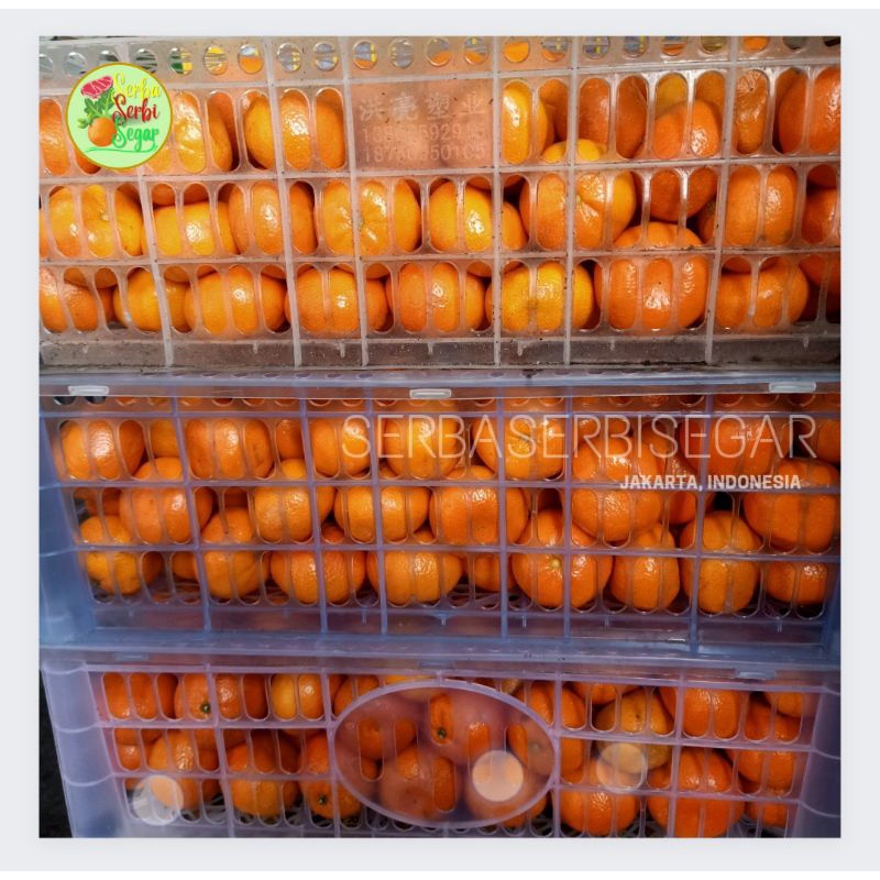 JERUK MANDARIN IMPORT 1 KRAT KERANJANG +-7KG