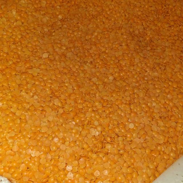 

LENTIL or MASOOR DHALL