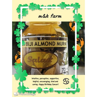 

MINYAK ALMOND MURNI COLD PRESSING PROSES 70 Ml