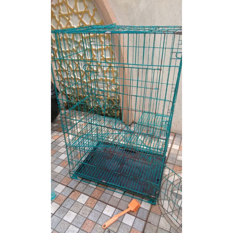 Kandang kucing