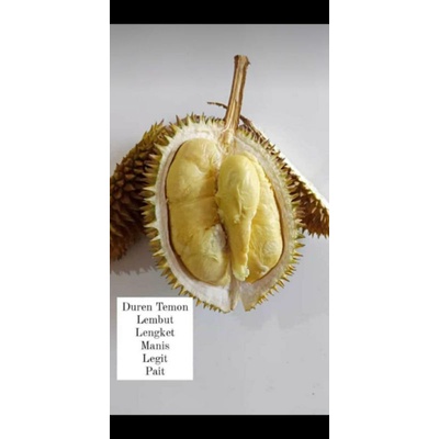 

Durian Temon