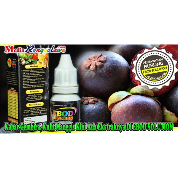 EBOD SOLUTION VITAMIN BURUNG MENINGKATKAN SISTEM PENCERNAAN KEKEBALAN PENYERAPAN NUTRISI