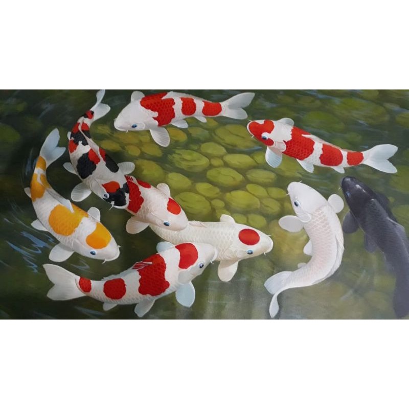 Lukisan Ikan Koi