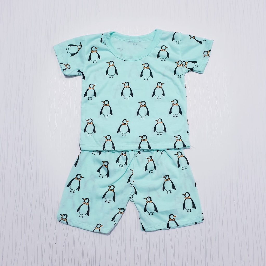 Setelan Anak Motif Pinguin 0-12 Bulan Cyandclothing