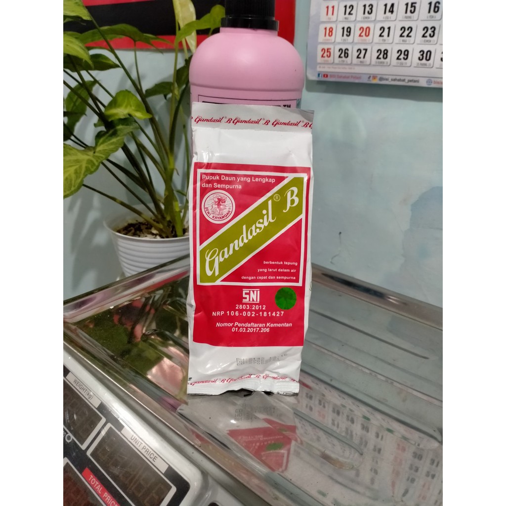 GANDASIL B 500 GRAM PUPUK DAUN TANAMAN