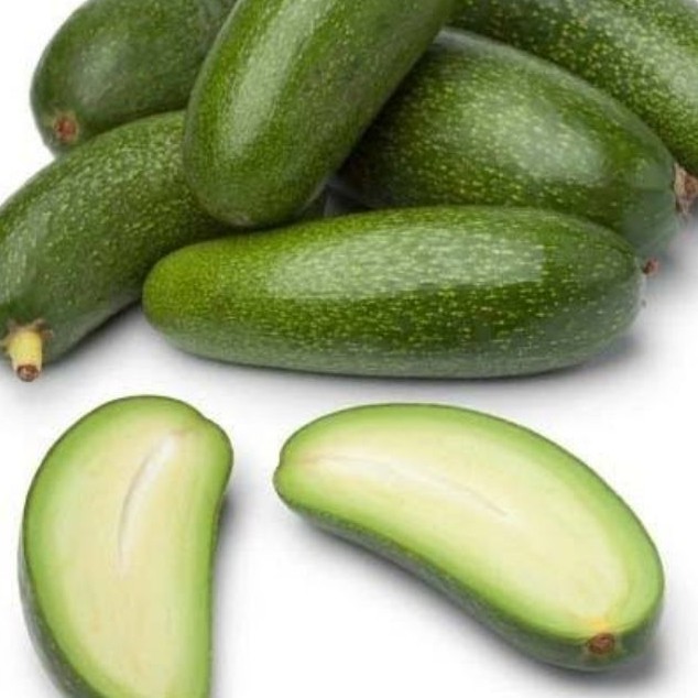 Alpukat non biji alpukat seedles