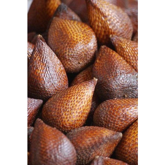 

buah salak pondoh madu manis