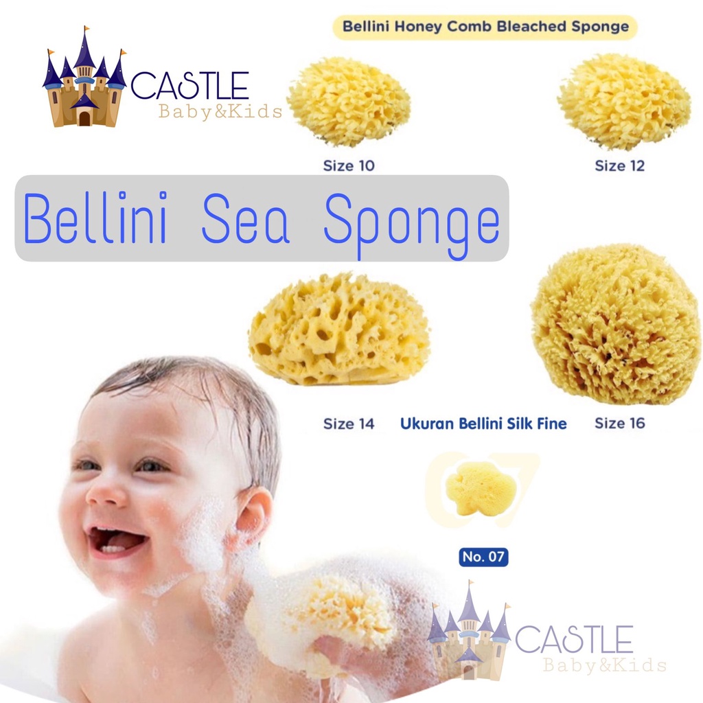 Castle - Bellini Sea Sponge