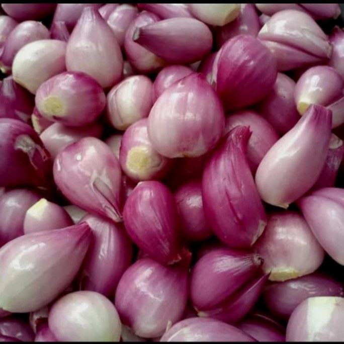 

bawang merah kupas