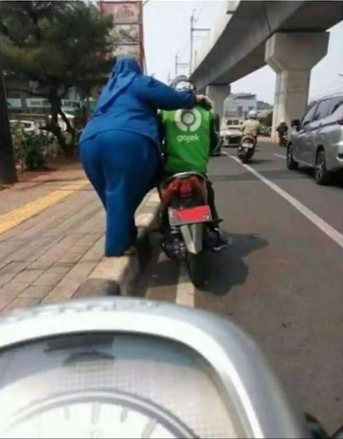 Toples Fox / Tabung 500ml