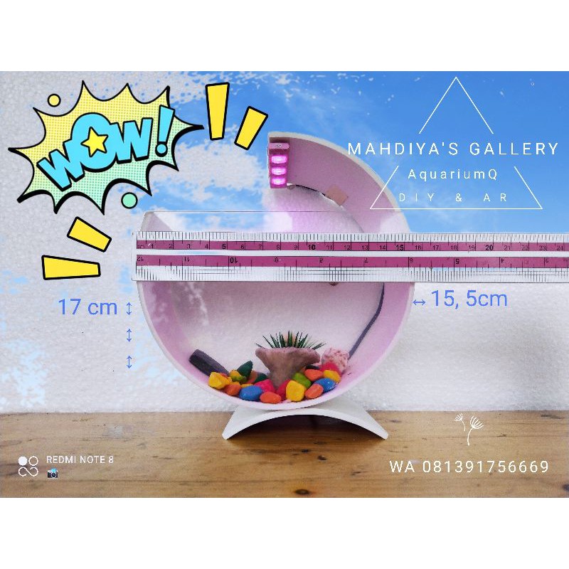 Aquarium Bulat Mini Sepaket Lengkap