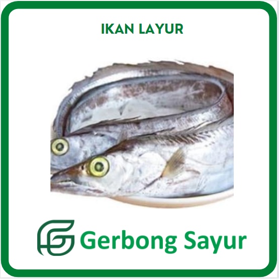 

Ikan Layur Segar - 1 Kg