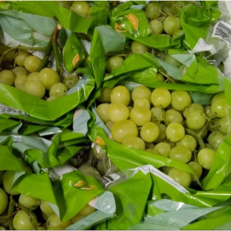 

Buah Anggur Hijau Seedless Fresh 1Kg