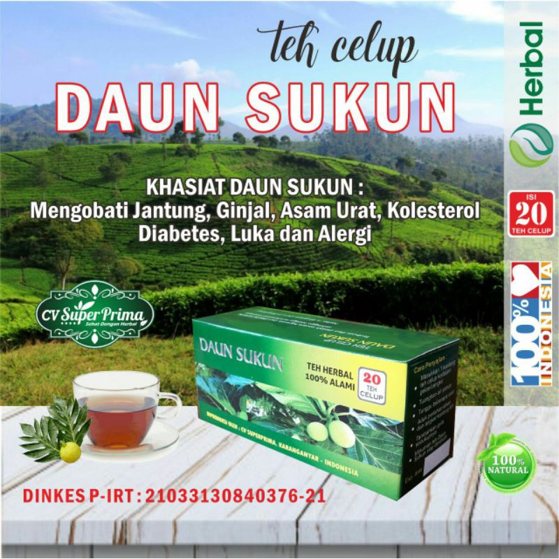 TEH HERBAL CELUP DAUN SUKUN ANTI DIABETES (SUKUN)