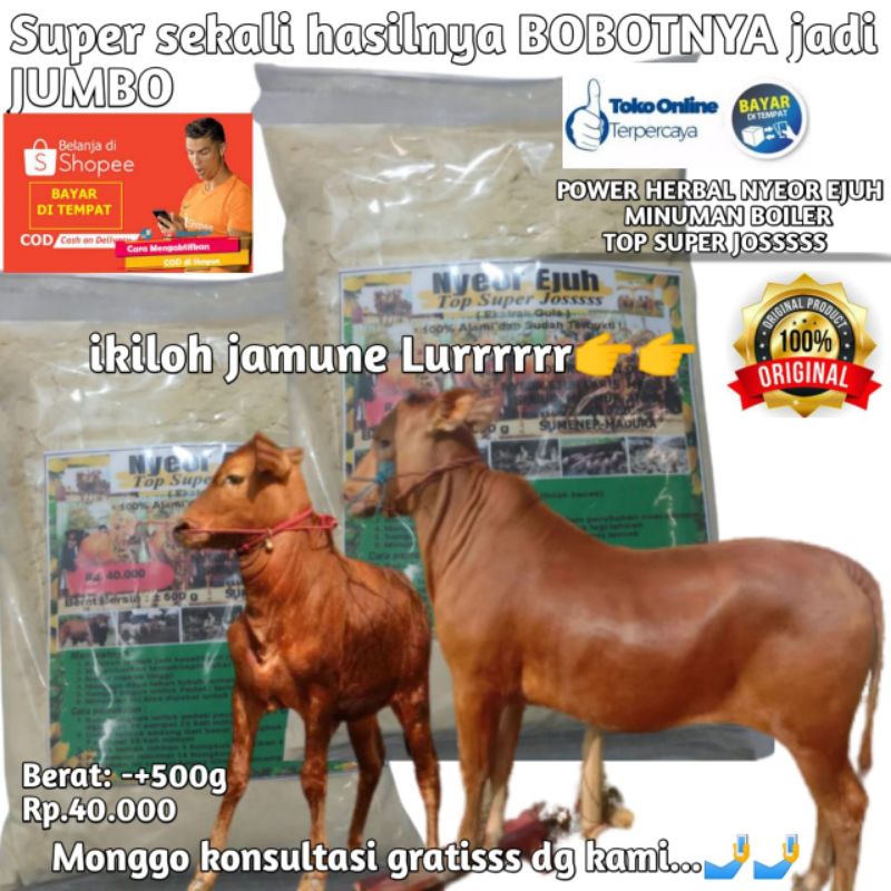 jamu sapi alami nyeor ejuh vitamin super josss untuk menjadikan bobot bibit super