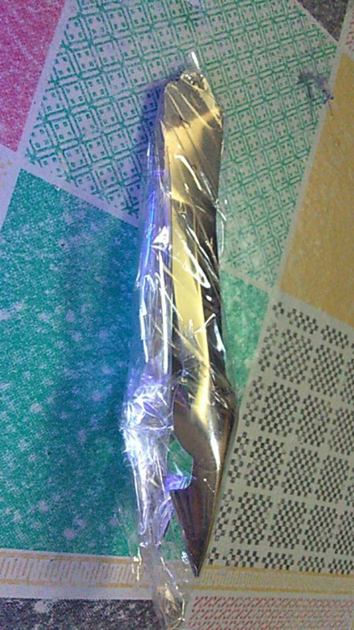 Alat Mata Nanas Stainless Steel / Pengambil Mata Nanas