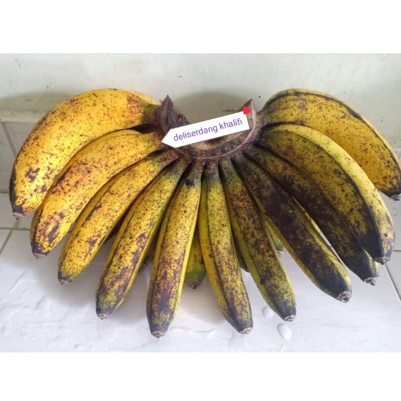 

PISANG BARANGAN