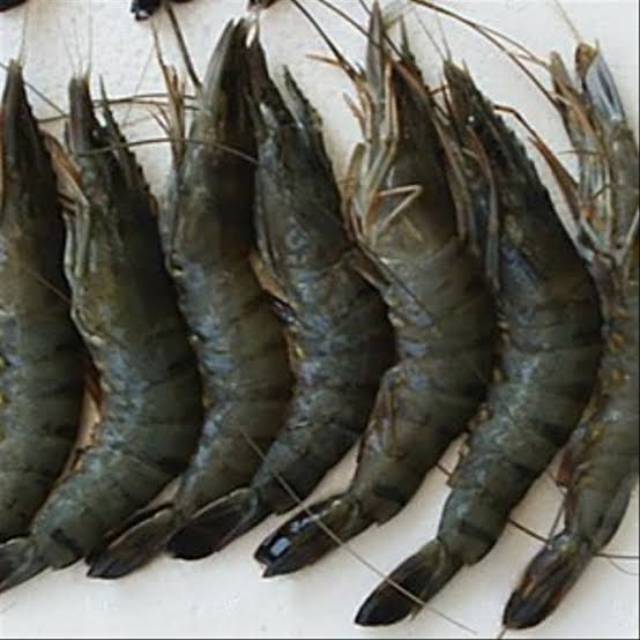 

Udang pancet size 20