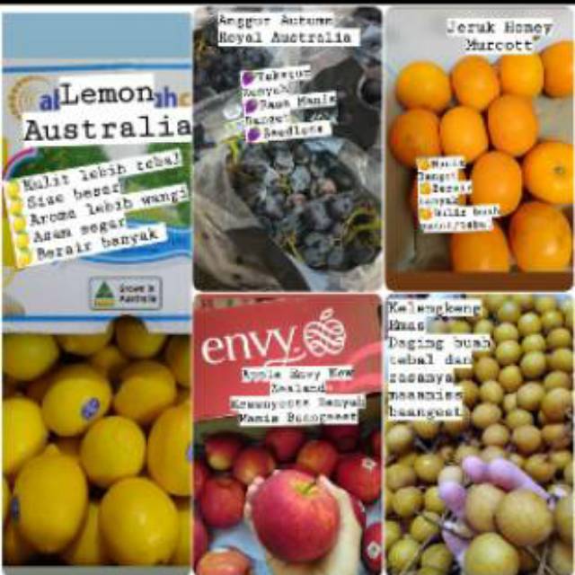 

Buah Impor Apel Envy, Jeruk Honey Murcott, Lengkeng Emas Thailand, Anggur Autumn Royal, Lemon Aussie